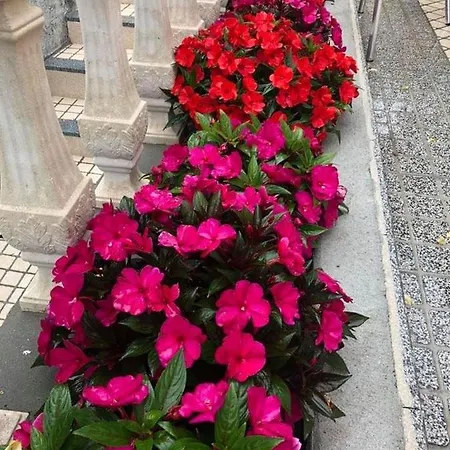 Residencial Celeste Agueda