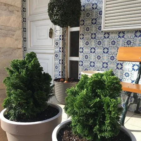 Alojamento de Acomodação e Pequeno-almoço Residencial Celeste