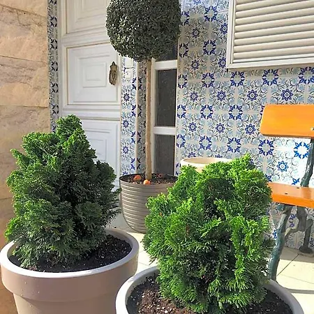 Bed & Breakfast Residencial Celeste Agueda