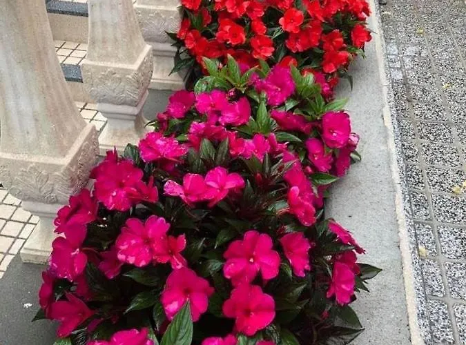 Residencial Celeste Águeda